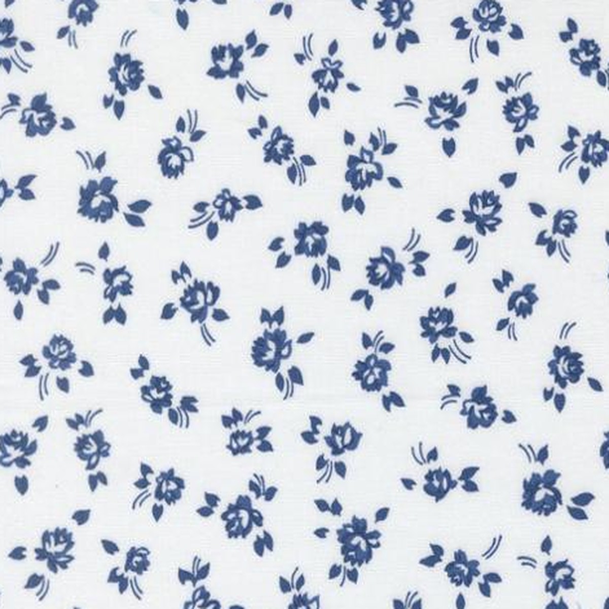 Moda - Blueprint - Camille Roskelley - White Navy 55331 26